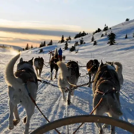 Amazing Arctic L Downtown L Near Attractions Lejlighed Tromsø